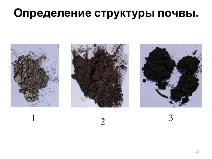 Определение структуры почвы. 1 2 3