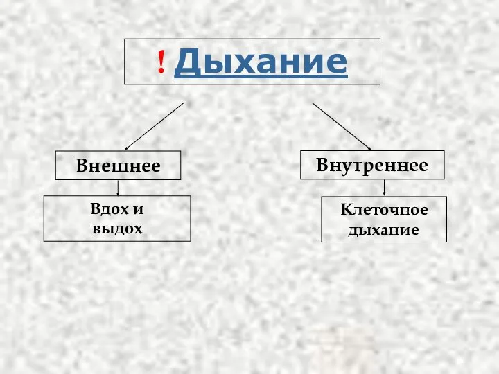 ! Дыхание Внутреннее Внешнее Вдох и выдох Клеточное дыхание