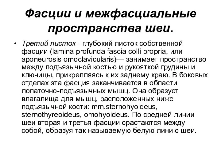 Фасции и межфасциальные пространства шеи. Третий листок - глубокий листок собственной фасции