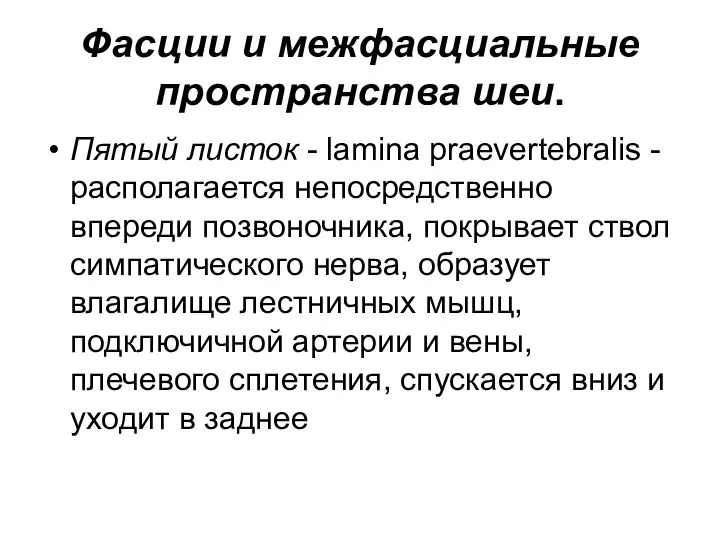 Фасции и межфасциальные пространства шеи. Пятый листок - lamina praevertebralis - располагается