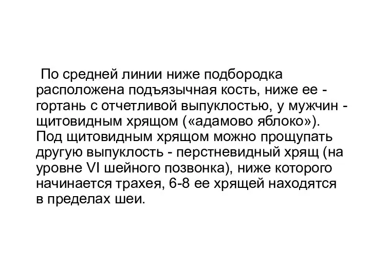 По средней линии ниже подбородка расположена подъязычная кость, ниже ее - гортань