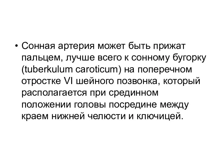 Сонная артерия может быть прижат пальцем, лучше всего к сонному бугорку (tuberkulum