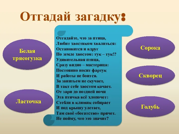 Отгадай загадку: Отгадайте, что за птица, Любит хвостиком хвалиться: Остановится и вдруг