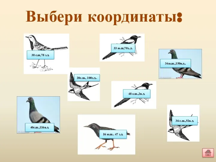 Выбери координаты: 38 с.ш,78 з.д. 33 ю.ш,70з..д. 34ю.ш.,150в.д.. 20с.ш., 100з.д.. 48 с.ш.,2в.д.