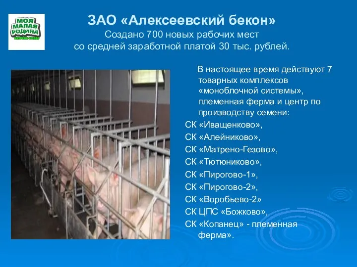 ЗАО «Алексеевский бекон» Создано 700 новых рабочих мест со средней заработной платой