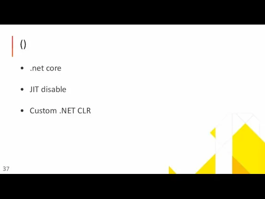 () .net core JIT disable Custom .NET CLR