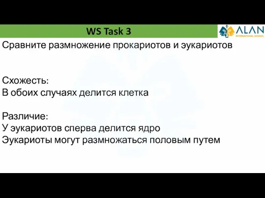 WS Task 3 Сравните размножение прокариотов и эукариотов Схожесть: В обоих случаях