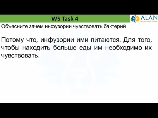 WS Task 4 Объясните зачем инфузории чувствовать бактерий Потому что, инфузории ими