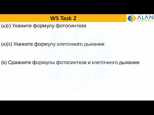 WS Task 2 (a)(i) Укажите формулу фотосинтеза (a)(ii) Укажите формулу клеточного дыхания