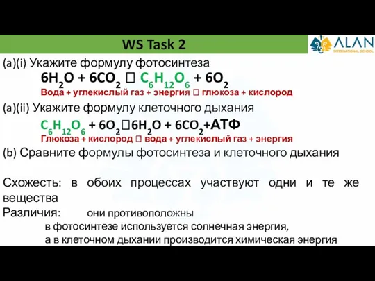 WS Task 2 (a)(i) Укажите формулу фотосинтеза (a)(ii) Укажите формулу клеточного дыхания