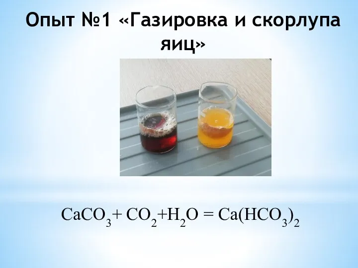 Опыт №1 «Газировка и скорлупа яиц» CaCO3+ CO2+H2O = Ca(HCO3)2