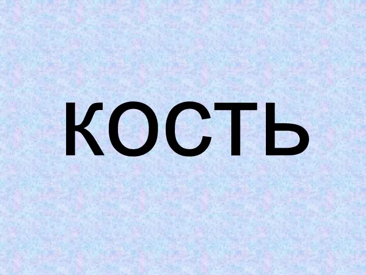 кость