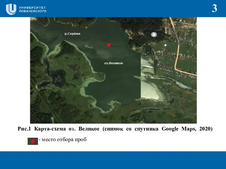 Рис.1 Карта-схема оз. Великое (снимок со спутника Google Maps, 2020) - место отбора проб 3