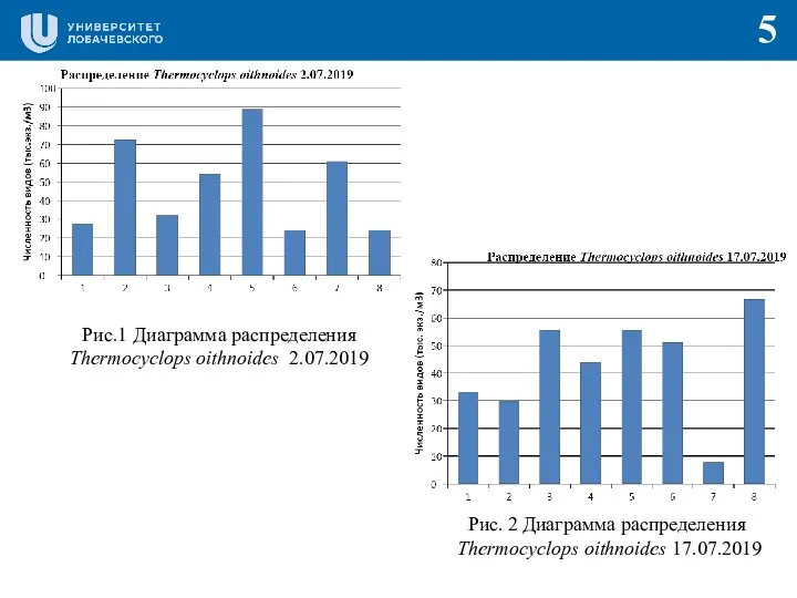 Рис. 2 Диаграмма распределения Thermocyclops oithnoides 17.07.2019 5 Рис.1 Диаграмма распределения Thermocyclops oithnoides 2.07.2019