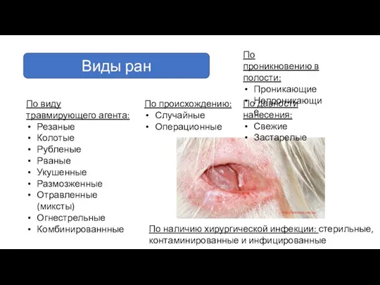 Виды ран По виду травмирующего агента: Резаные Колотые Рубленые Рваные Укушенные Размозженные