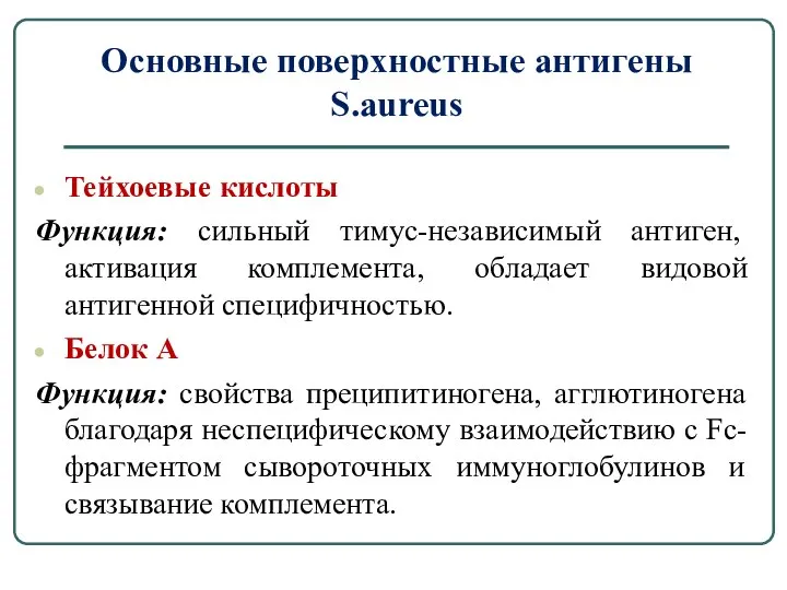 Основные поверхностные антигены S.aureus Тейхоевые кислоты Функция: сильный тимус-независимый антиген, активация комплемента,