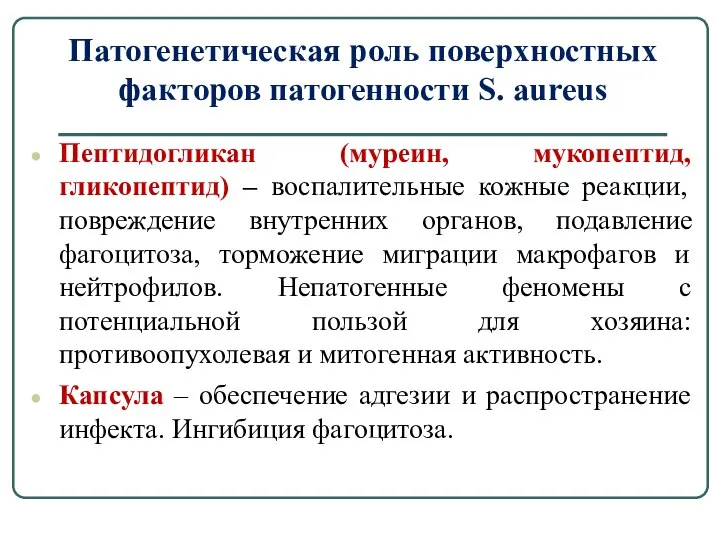 Патогенетическая роль поверхностных факторов патогенности S. aureus Пептидогликан (муреин, мукопептид, гликопептид) –