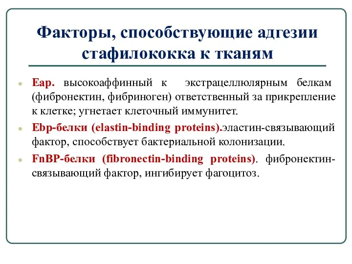 Факторы, способствующие адгезии стафилококка к тканям Еар. высокоаффинный к экстрацеллюлярным белкам (фибронектин,