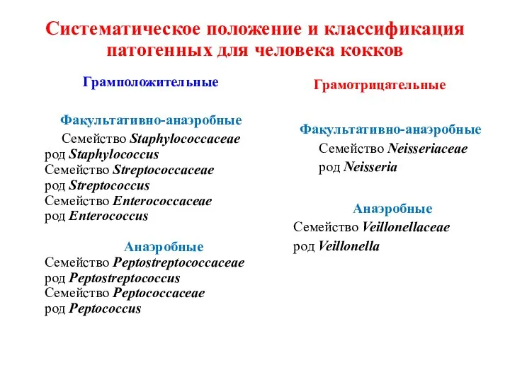 Систематическое положение и классификация патогенных для человека кокков Грамположительные Факультативно-анаэробные Семейство Staphylococcaceae