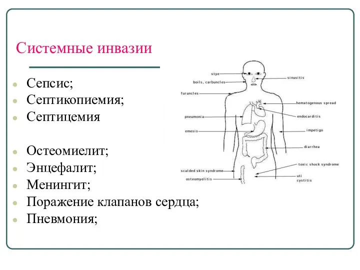 Системные инвазии Сепсис; Септикопиемия; Септицемия Остеомиелит; Энцефалит; Менингит; Поражение клапанов сердца; Пневмония;