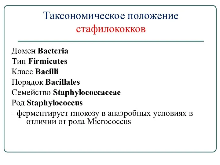 Таксономическое положение стафилококков Домен Bacteria Тип Firmicutes Класс Bacilli Порядок Bacillales Семейство
