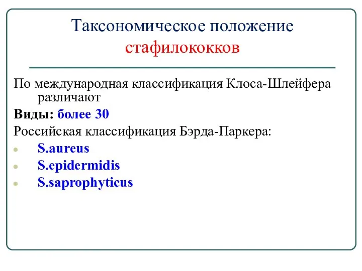 Таксономическое положение стафилококков По международная классификация Клоса-Шлейфера различают Виды: более 30 Российская