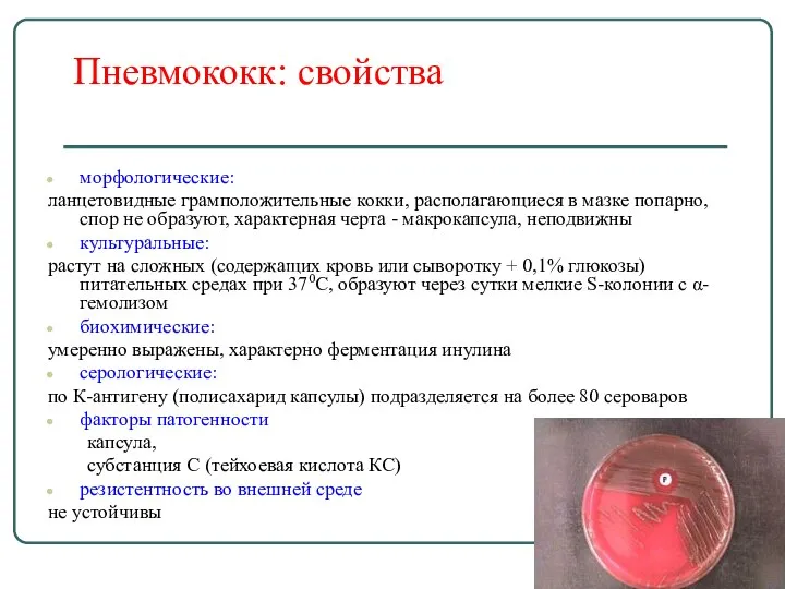 Пневмококк: свойства морфологические: ланцетовидные грамположительные кокки, располагающиеся в мазке попарно, спор не