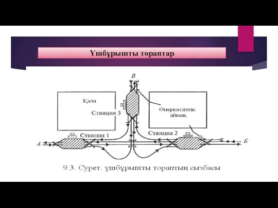 Үшбұрышты тораптар