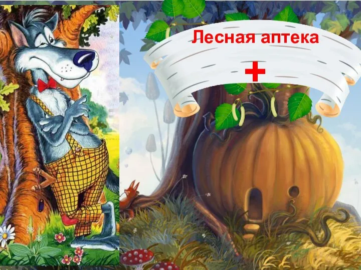 Лесная аптека +