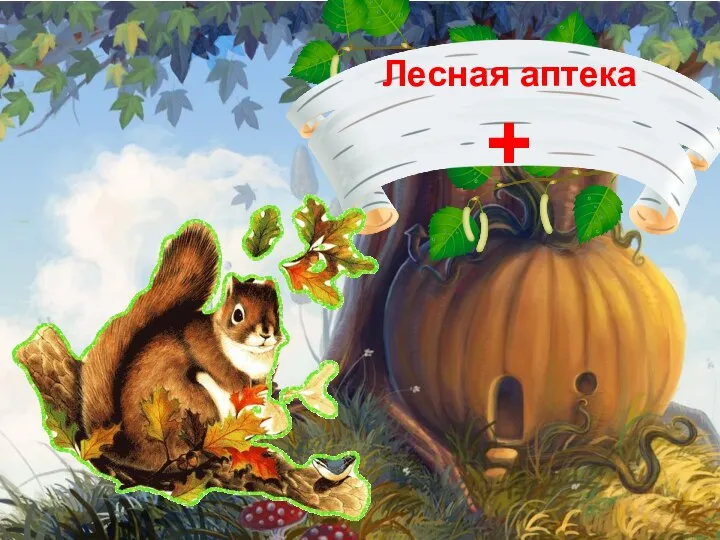 Лесная аптека +