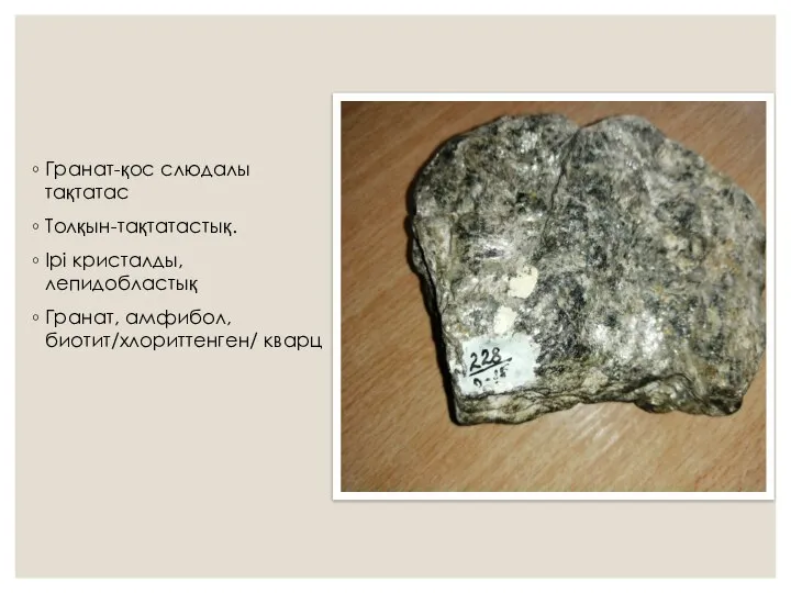 Гранат-қос слюдалы тақтатас Толқын-тақтатастық. Ірі кристалды, лепидобластық Гранат, амфибол, биотит/хлориттенген/ кварц