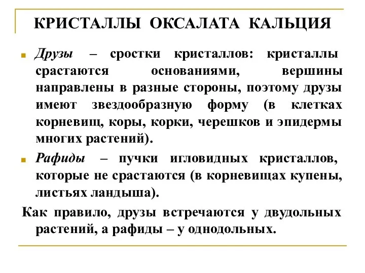 КРИСТАЛЛЫ ОКСАЛАТА КАЛЬЦИЯ Друзы – сростки кристаллов: кристаллы срастаются основаниями, вершины направлены