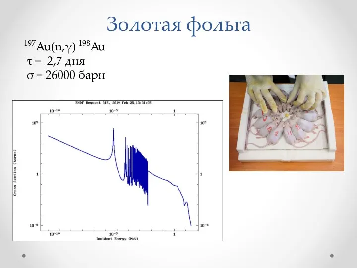 Золотая фольга 197Au(n,γ) 198Au τ = 2,7 дня σ = 26000 барн