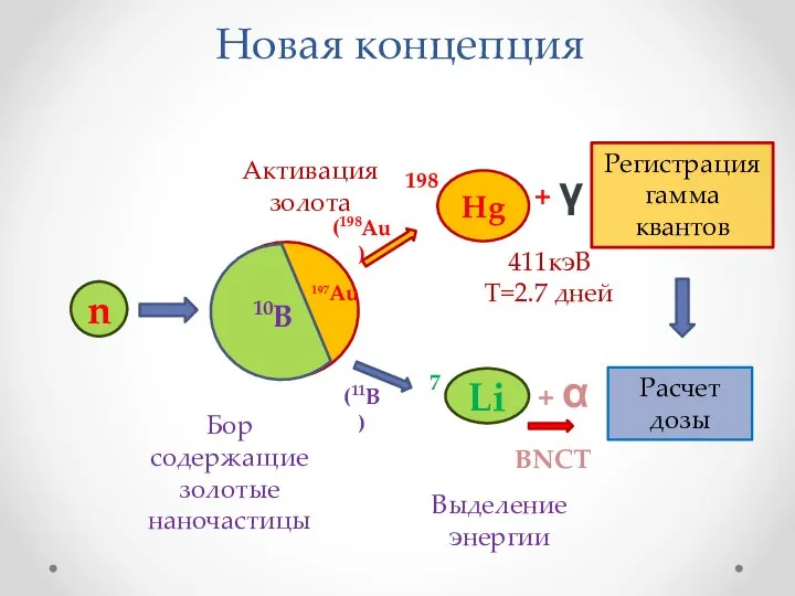 Новая концепция n Li 7 + α + γ Регистрация гамма квантов