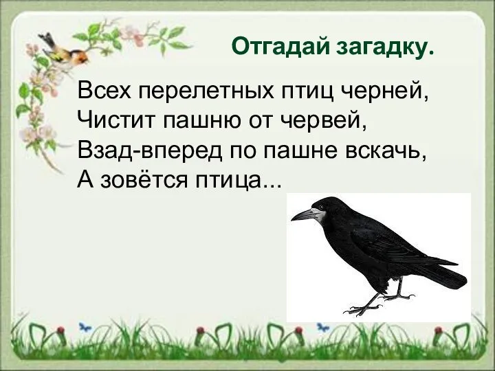 Всех перелетных птиц черней, Чистит пашню от червей, Взад-вперед по пашне вскачь,