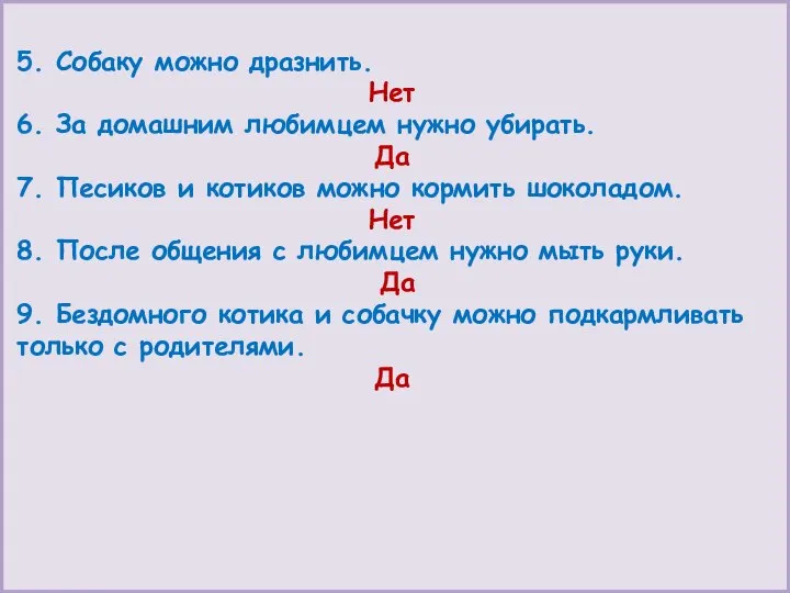 5. Собаку можно дразнить. Нет 6. За домашним любимцем нужно убирать. Да