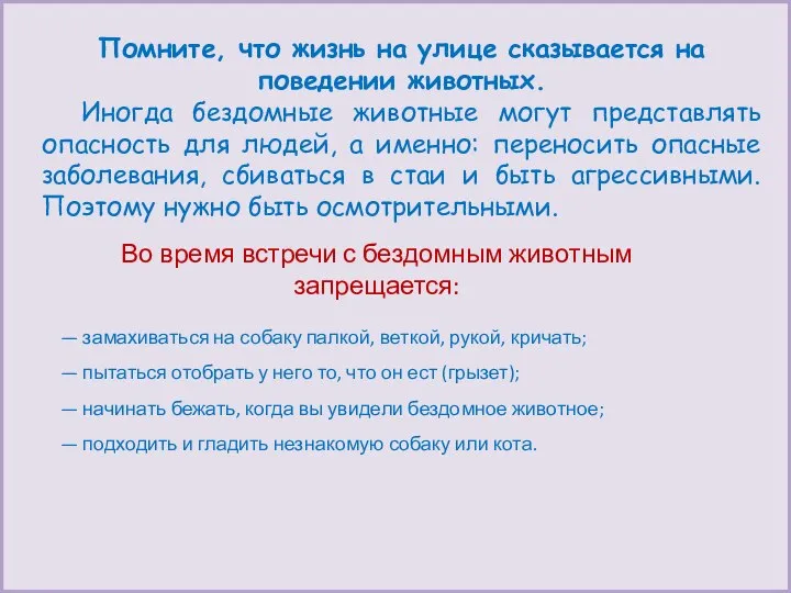 Помните, что жизнь на улице сказывается на поведении животных. Иногда бездомные животные