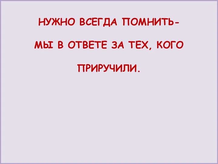 НУЖНО ВСЕГДА ПОМНИТЬ- МЫ В ОТВЕТЕ ЗА ТЕХ, КОГО ПРИРУЧИЛИ.