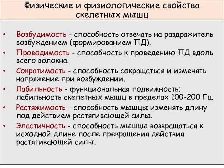 Физические и физиологические свойства скелетных мышц Возбудимость - способность отвечать на раздражитель