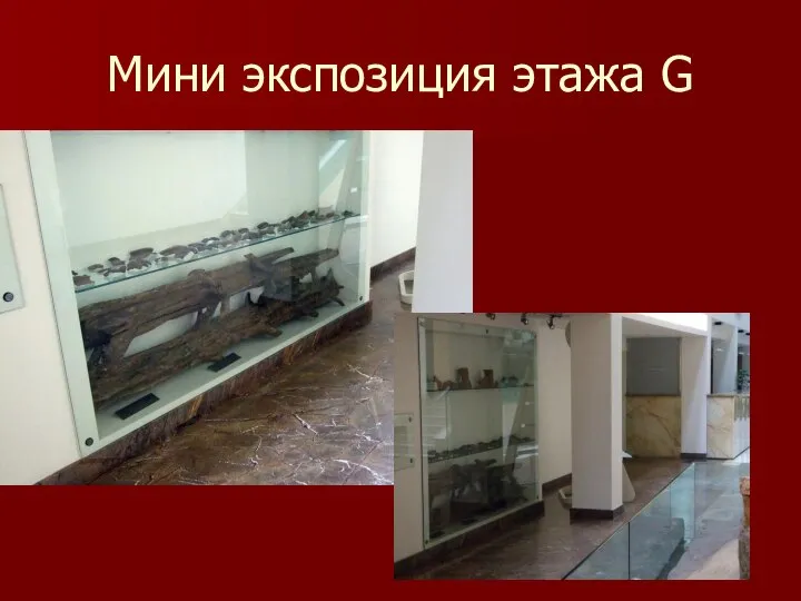 Мини экспозиция этажа G