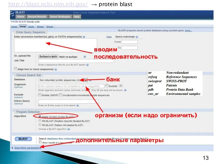 http://blast.ncbi.nlm.nih.gov/ → protein blast