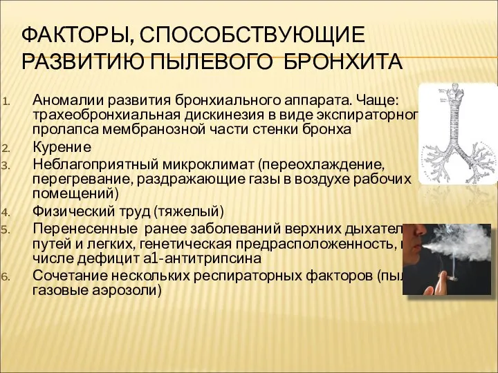 ФАКТОРЫ, СПОСОБСТВУЮЩИЕ РАЗВИТИЮ ПЫЛЕВОГО БРОНХИТА Аномалии развития бронхиального аппарата. Чаще: трахеобронхиальная дискинезия