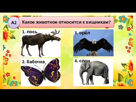 Какое животное относится к хищникам? А2