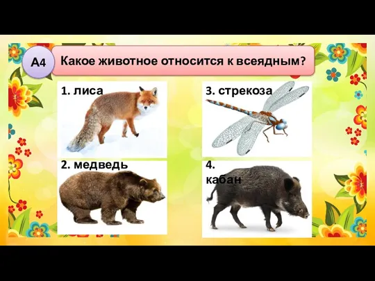 Какое животное относится к всеядным? А4