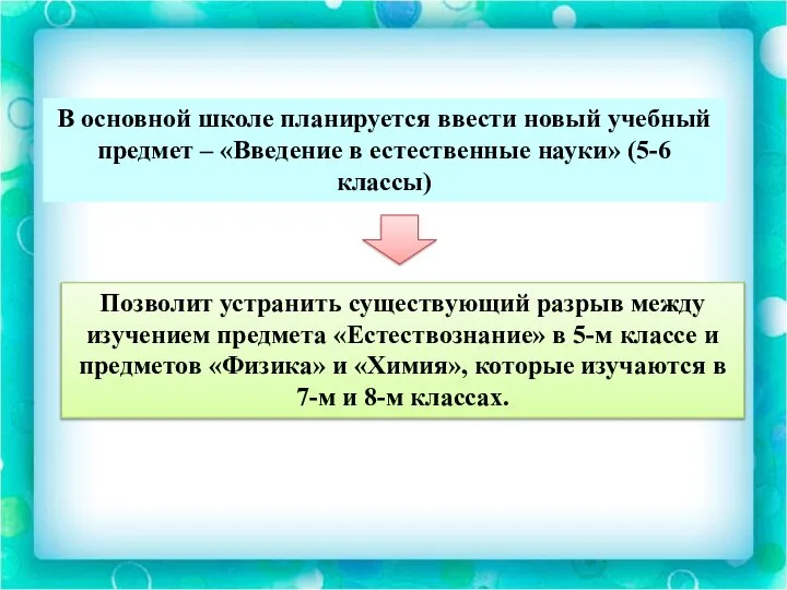 В основной школе планируется ввести новый учебный предмет – «Введение в естественные