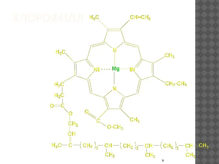 ХЛОРОФИЛЛ