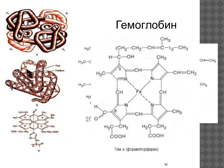 Гемоглобин