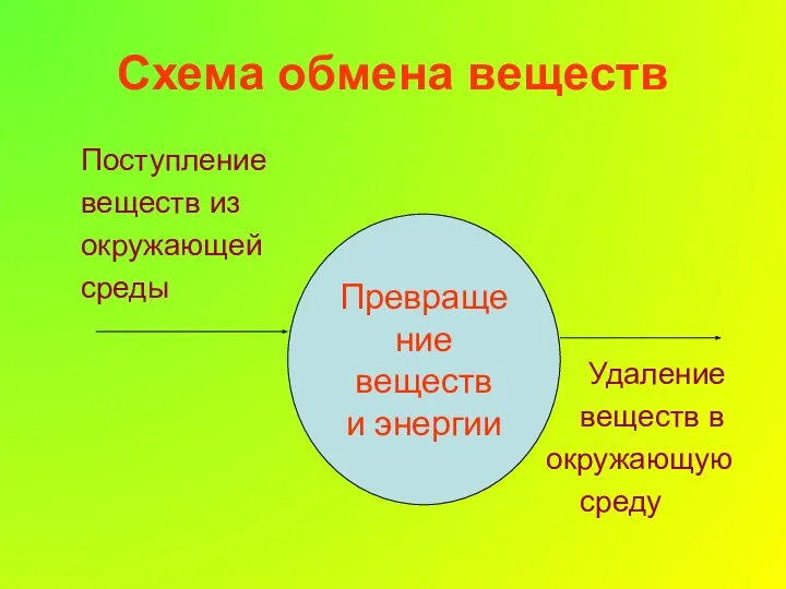 Схема обмена веществ Превращение веществ и энергии Поступление веществ из окружающей среды