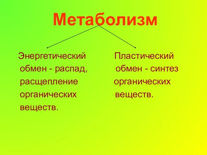 Метаболизм Энергетический Пластический обмен - распад, обмен - синтез расщепление органических органических веществ. веществ.