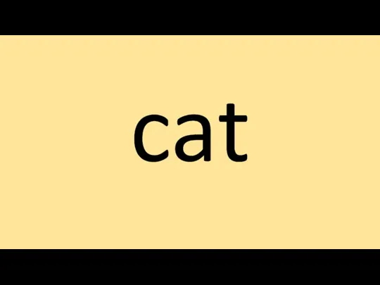 cat